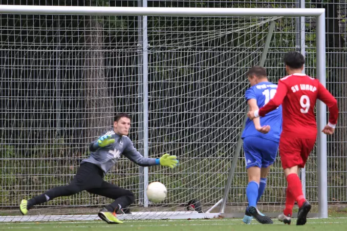 Kreisliga 9: GFSV gewinnt zweistellig